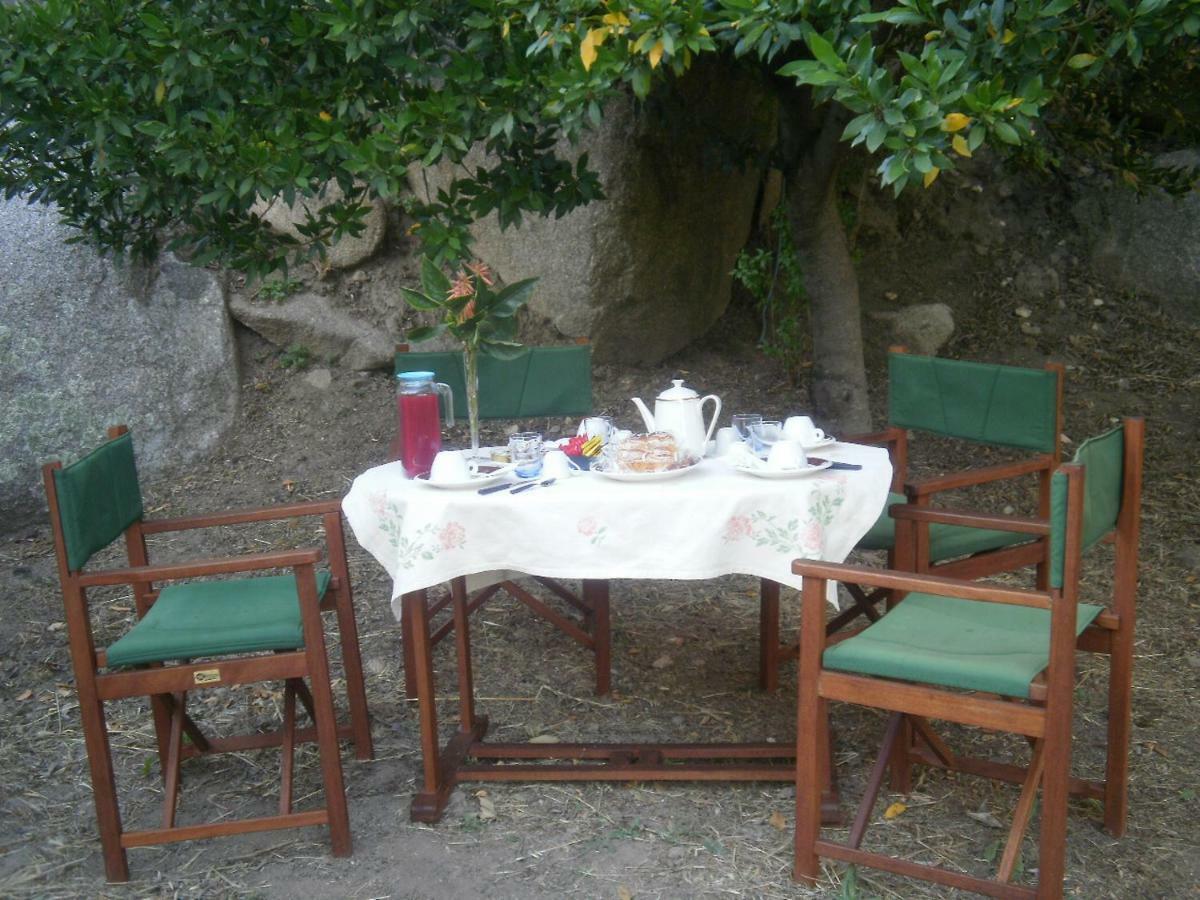 Sarule La Collina Dei Ciliegi B&B 외부 사진